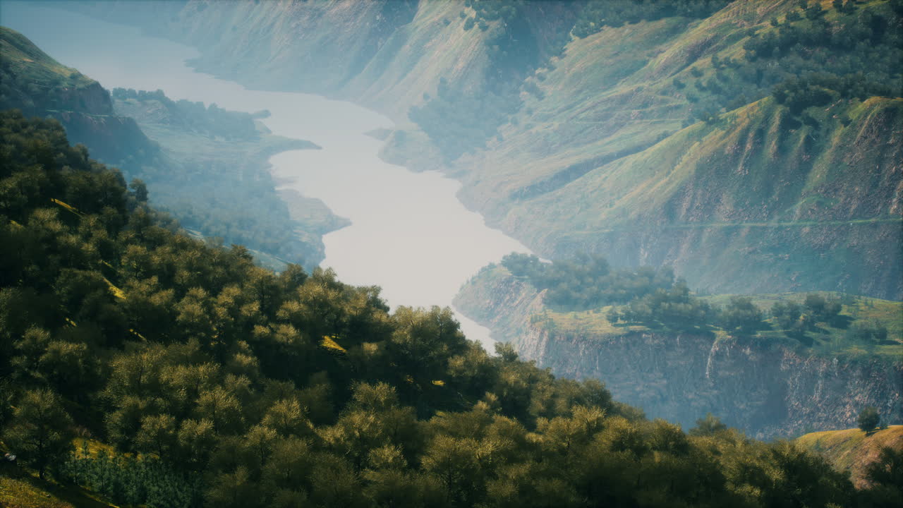 색 ⁇ 의 전망과 함께  ⁇ 은 날에 끝없는 숲