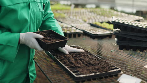 greenhouse, hands of farmer