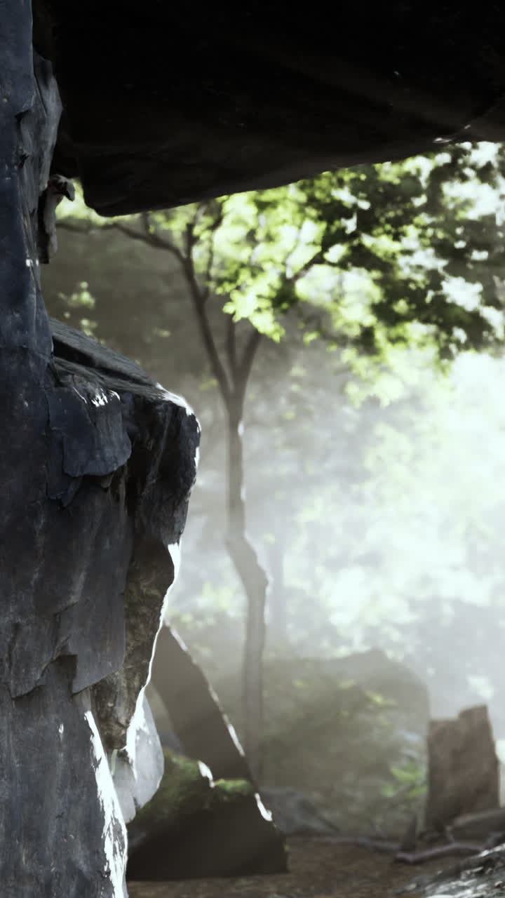 빛 은 바위 를 가로질러 흐릿 한 숲 길 을 비추고 있다