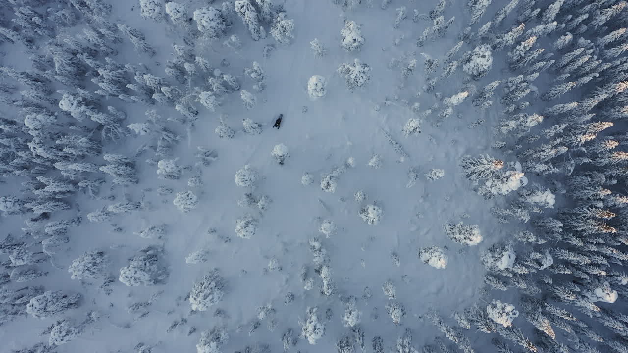 drone vista dall'alto colpo di una fitta foresta durante una fredda stagione invernale in svezia