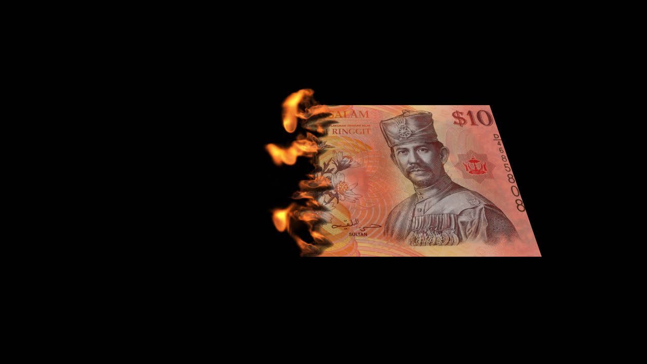 Burning Malaysian Ringgit Banknote