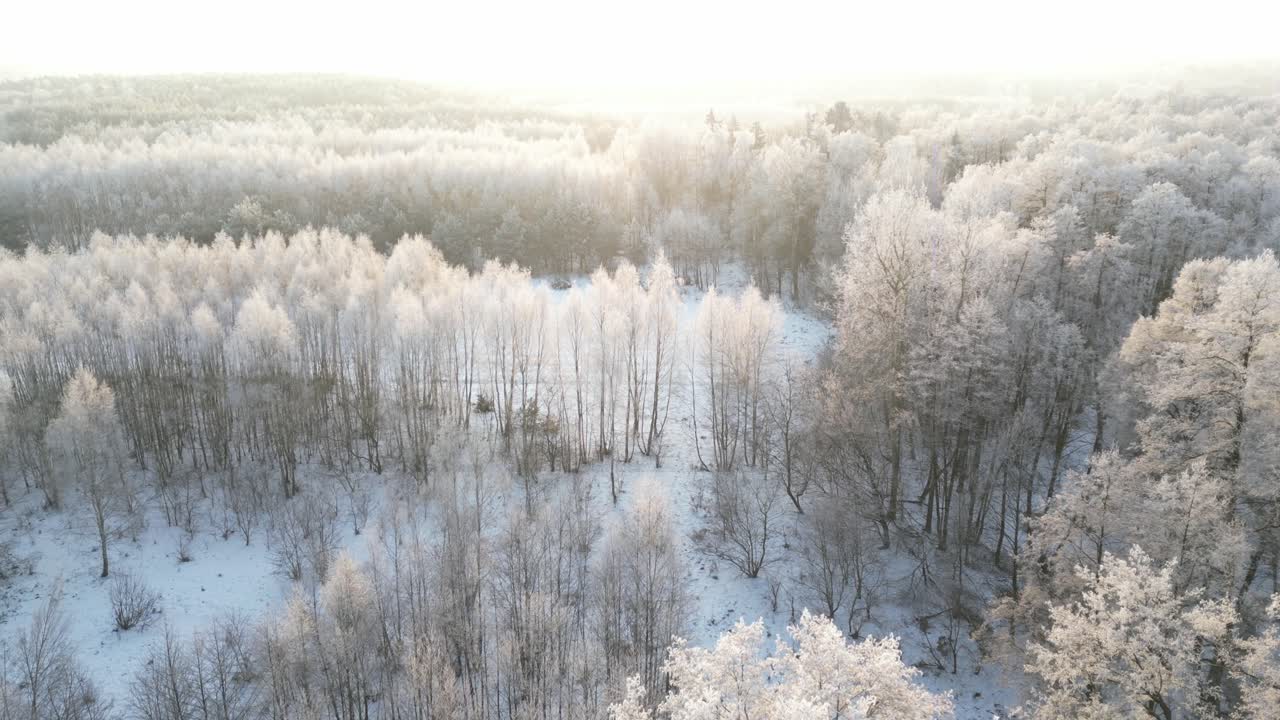 En 4K drone flyver i spiral mod solopgangen og daler fra trætoppene til en sidevisning af rimfrost-dækkede grene. En smal strøm dukker op mellem træerne for enden af optagelsen