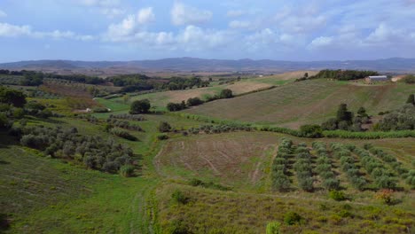 Amazing-aerial-top-view-flight-meditative-LandscapeTuscany-Wine-field-valley-Italy-fall