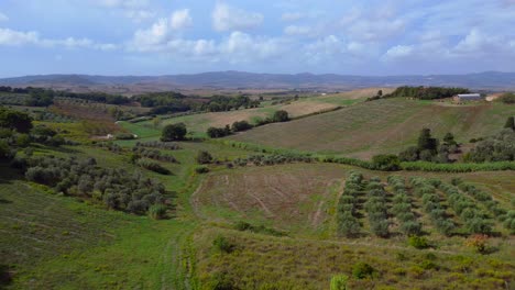 increíble vista aérea de arriba vuelo paisaje meditativo campo de vino de la toscana valle de italia otoño