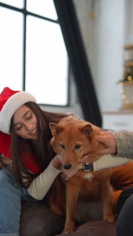 young woman hugging a finnish spitz dog in santa hat