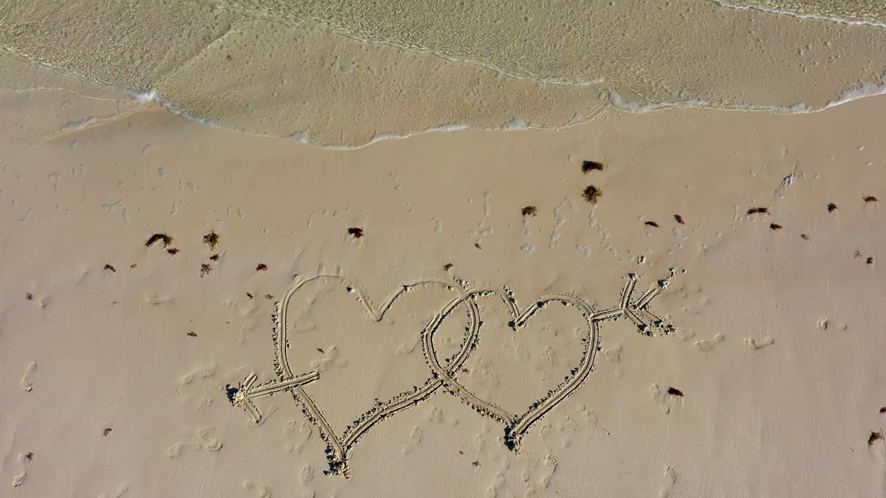 공중 카메라가 서로 연결된 두 개의 심장을 똑바로 내려다보고 있습니다.