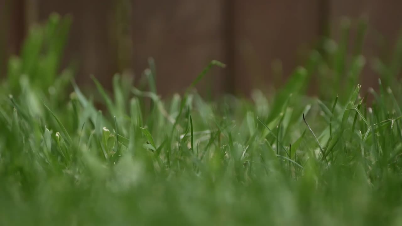 A low shot of a blackboard saying hello being placed into the scene (grass )