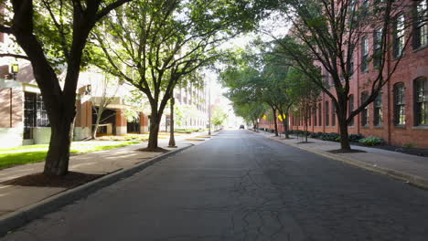 viajando bajo los árboles por una carretera de barrio vacía en michigan