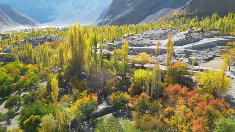 autumnal trees in skardu valley landscape