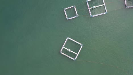 Dolphin-sea-pens-in-Taiji,-Wakayama