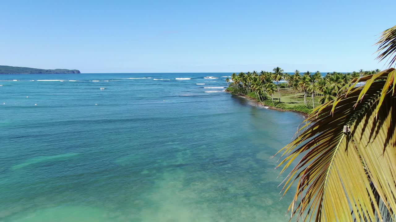 Vista da paisagem da praia a partir dos galhos do coqueiro
