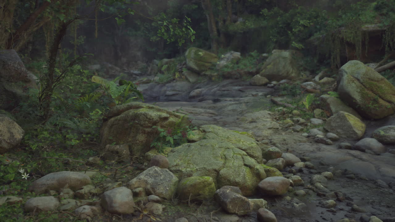 un camino rocoso en el medio de un camino de montaña del bosque