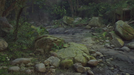 a rocky path in the middle of a forest mountain path