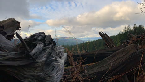 Time-lapse-of-clouds-moving-through-the-mountains-in-the-pacific-northwest-with-some-old-wood-logs-in-the-foreground