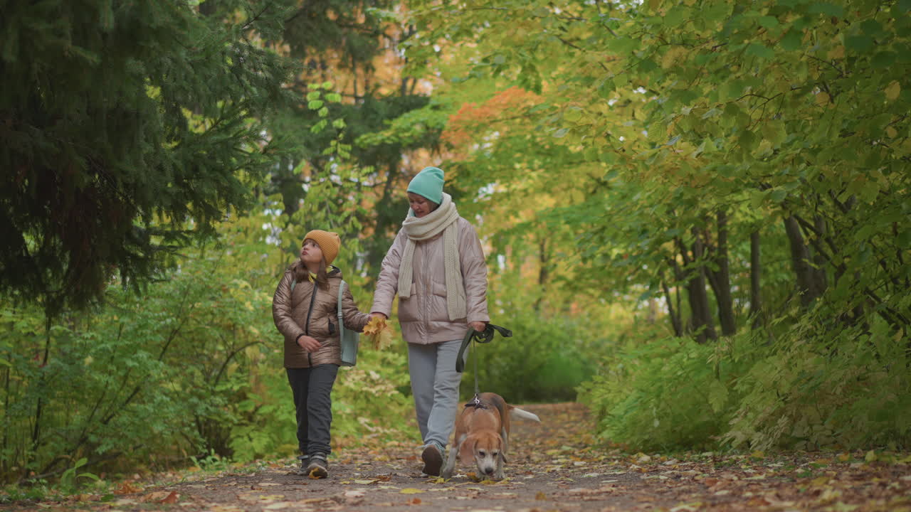 mother and daughter wearing warm jackets and knit hats stroll side by side on forest path while holding autumn leaves, smiling and talking as dog trots ahead through colorful seasonal foliage