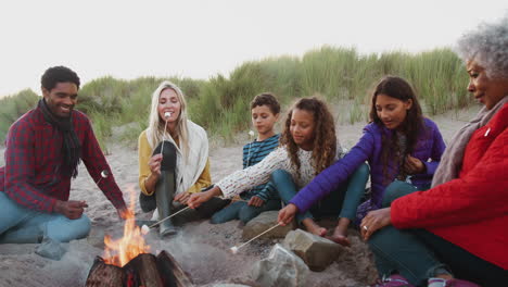 familia de varias generaciones tostando malvaviscos alrededor del fuego en vacaciones de playa de invierno