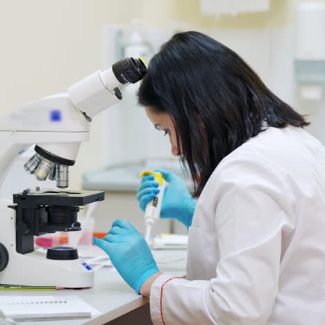 microscopist working with blood test