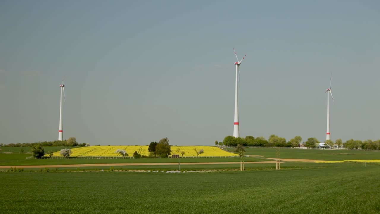 은 하늘 아래의 울창한 에서 노란색 꽃과 초록색의 암시와 함께 세 개의 풍력 터빈, 낮 시간, 지속 가능한 에너지 테마