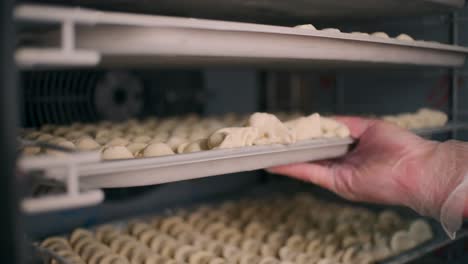 dumpling production line