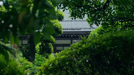 hidden japanese temple in a lush garden