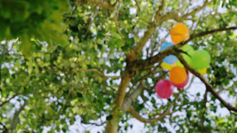 balloons in a tree