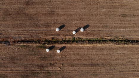 Geerntete-Und-Verpackte-Heuballen-Auf-Einem-Feld-Mit-Warmen-Tönen