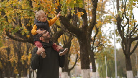 Kleines-Kind-Und-Vater-Haben-Spaß-Im-Herbstlichen-Wald,-Gehen-Am-Wochenende-Zusammen-Spazieren.-Der-Mann-Hält-Seinen-Sohn-Auf-Den-Schultern.-Glückliche-Familie-Beim-Spaziergang