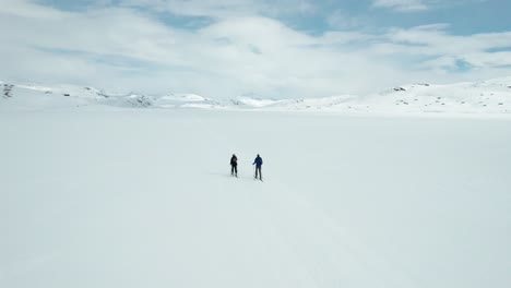 two people are cross country skiing across a snowy landscape on a frozen lake in tyin, norway