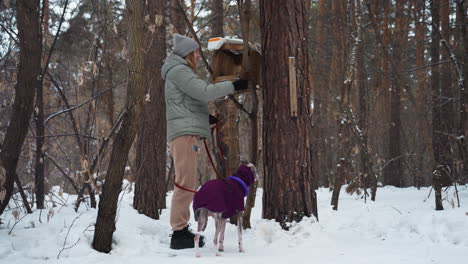 woman in warm winter clothes holding red leash feeds birds at wooden feeder mounted on snowy tree while whippet in purple coat stands nearby in quiet forest with leafless trees and white ground cover