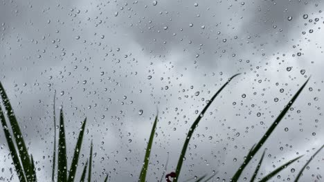 raindrops-on-a-window-on-a-stormy-day