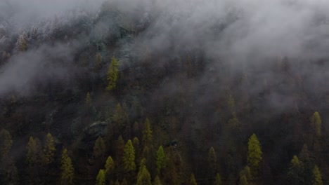 Relaxing-drone-video-in-Swiss-Alps-on-cloudy-moody-grey-winter-afternoon-with-lush-green-pine-forests-and-beautiful-snowy-trees-on-alpine-mountains-sideways-flying-upwards-and-rotating