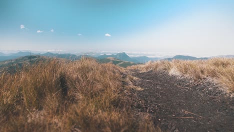 Bergblick-Wanderweg