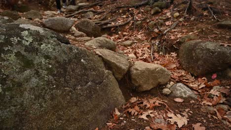 La-Mujer-Está-Caminando-En-El-Bosque-Durante-El-Otoño,-Cruzando-Rocas-Y-Piedras