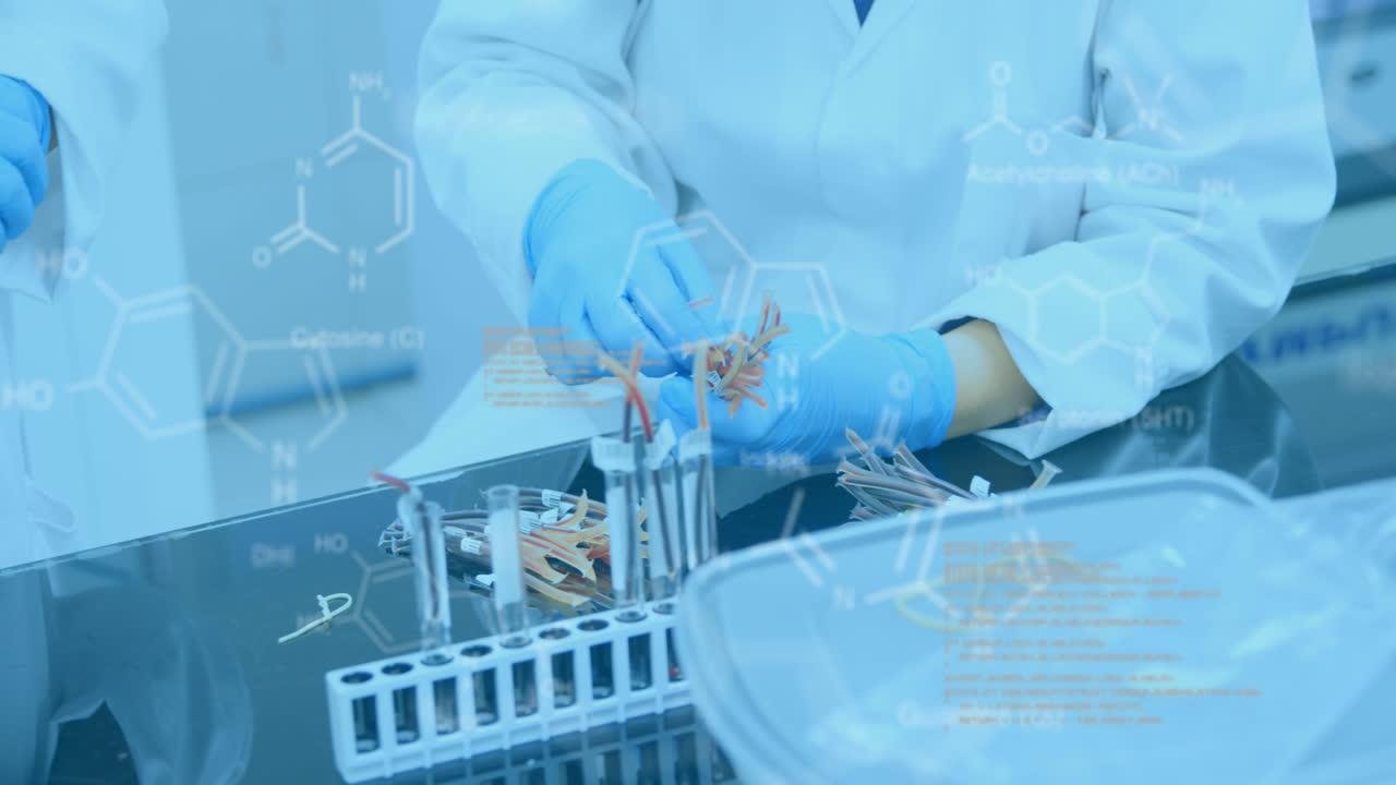 estructura molecular contra los científicos que trabajan en el laboratorio