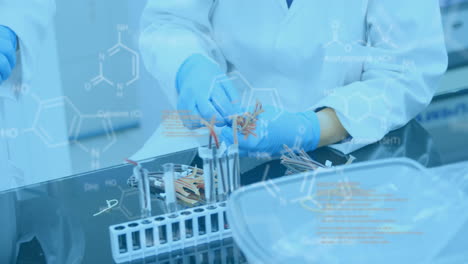estructura molecular contra los científicos que trabajan en el laboratorio