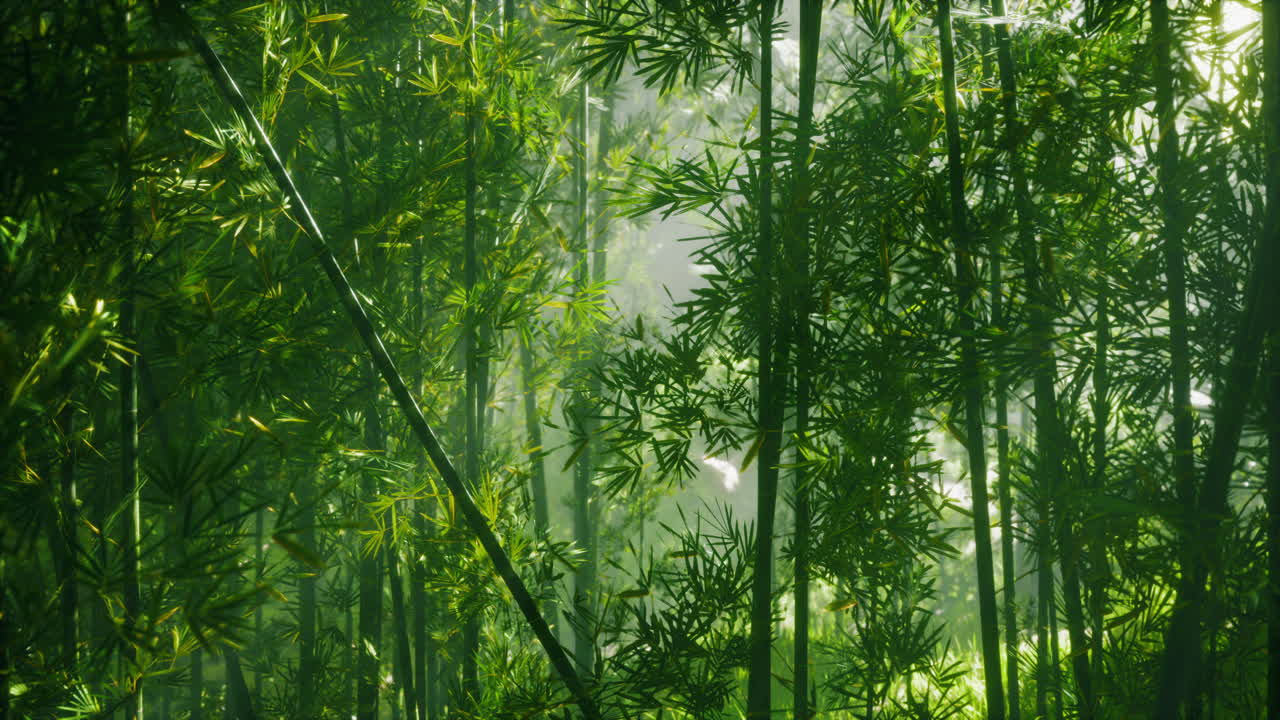 un bosque de bambú verde y exuberante