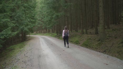 senderismo en el bosque solo con sólo una mochila en un bosque alto y oscuro