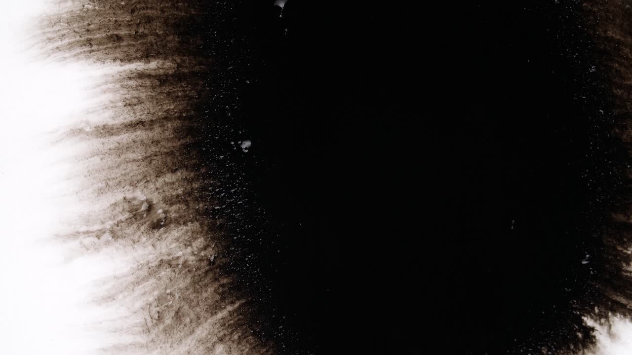 Gocce d'inchiostro nero su sfondo bianco