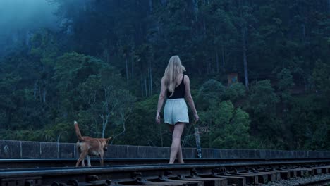 a tranquil moment captured on the nine arches bridge in ella, sri lanka, as a woman walks with her dog through the rain.