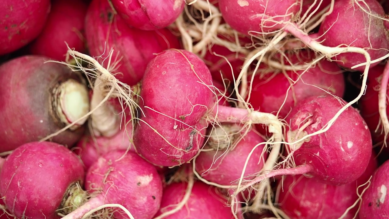 Pilha de Rabanetes Vermelhos Recém-Colhidos
