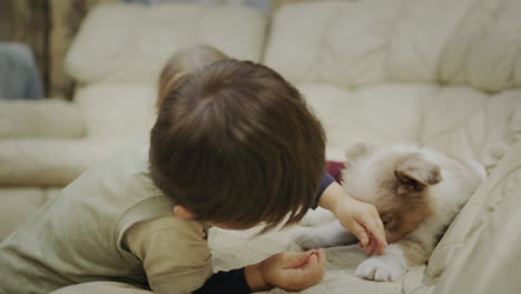 los niños juegan con cachorros lindos