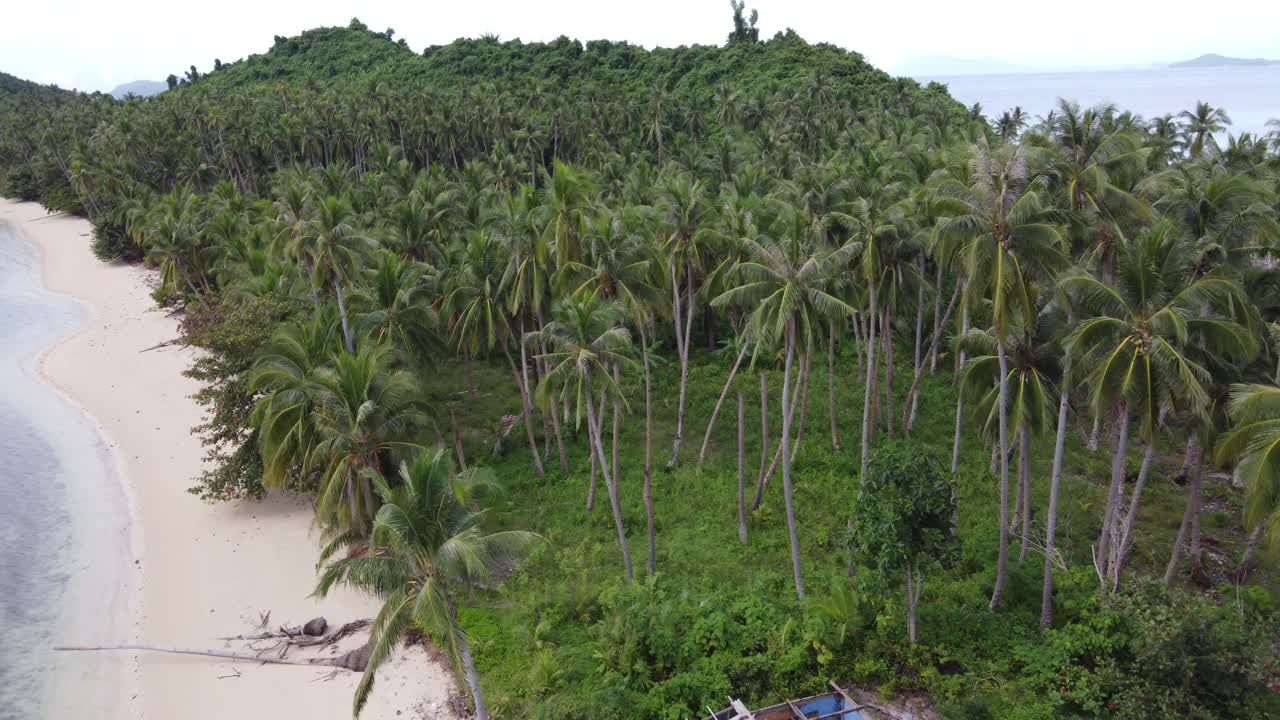 restos de una cabaña aislada en el bosque tropical de la playa destruida por el tifón en port barton