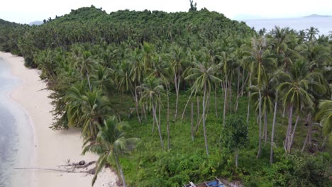 wreck of isolated shack hut in tropical beach forest destroyed by typhoon in port barton