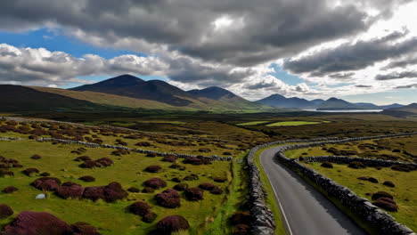 scenic winding road through green hills and heather with mountains and lake