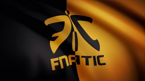 bandera con el logotipo fnatic