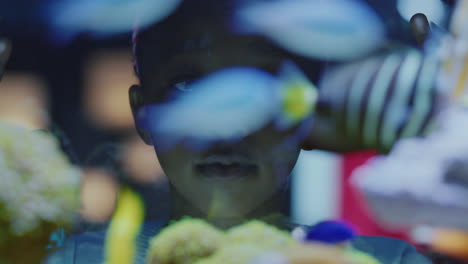 african-american-girl-looking-at-fish-in-aquarium-curious-child-watching-colorful-sea-life-swimming-in-tank-learning-about-marine-animals-in-underwater-ecosystem-inquisitive-kid-at-oceanarium