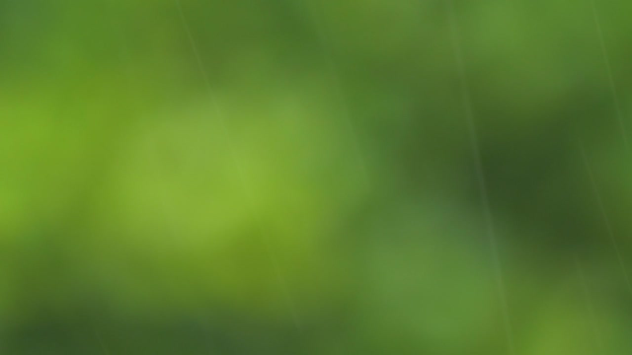 gotas de lluvia cayendo con el fondo de la naturaleza borrosa, imágenes de 4k.