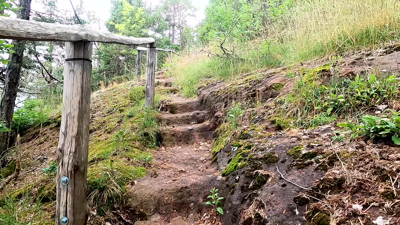 subir cuesta arriba por escaleras naturales con una baranda de madera que atraviesa el bosque en un día de verano - vista en primera persona