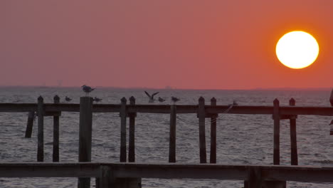 the sun setting on a dock in the atlantic ocean