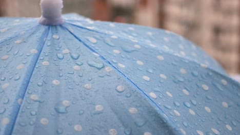 wet blue polka dot umbrella